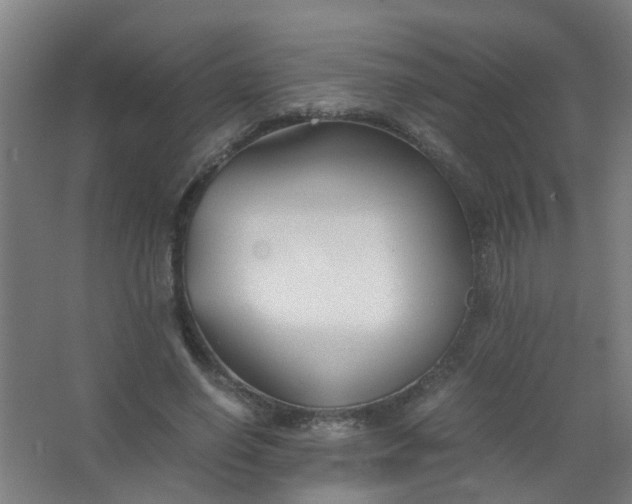 X0000063520638200602032111