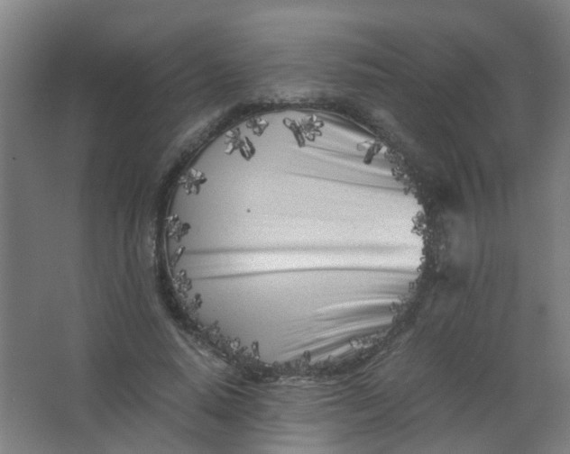 X0000063520640200602032111