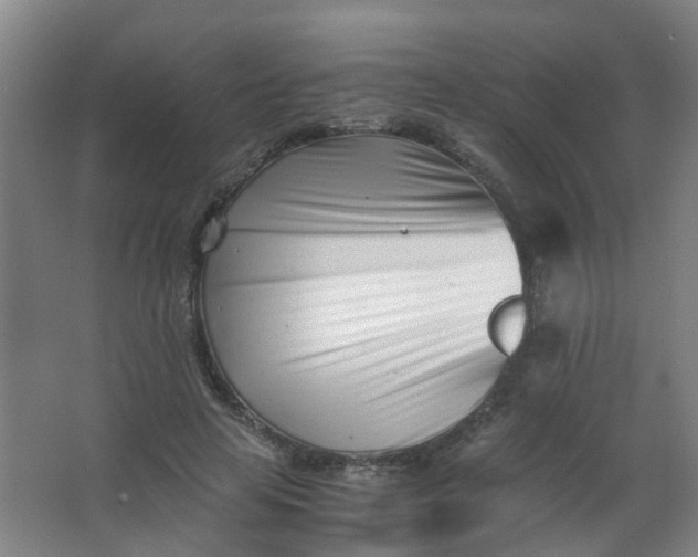 X0000063520641200602032111