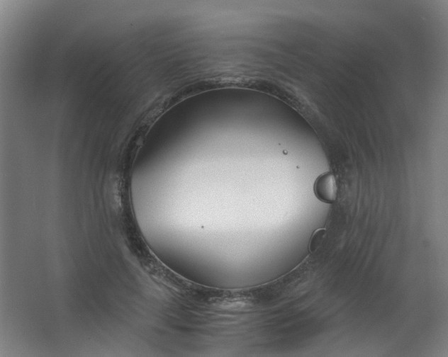 X0000063520643200602032111