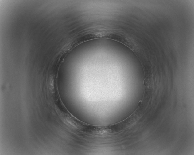 X0000063520646200602032111