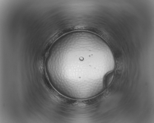 X0000063520648200602032111