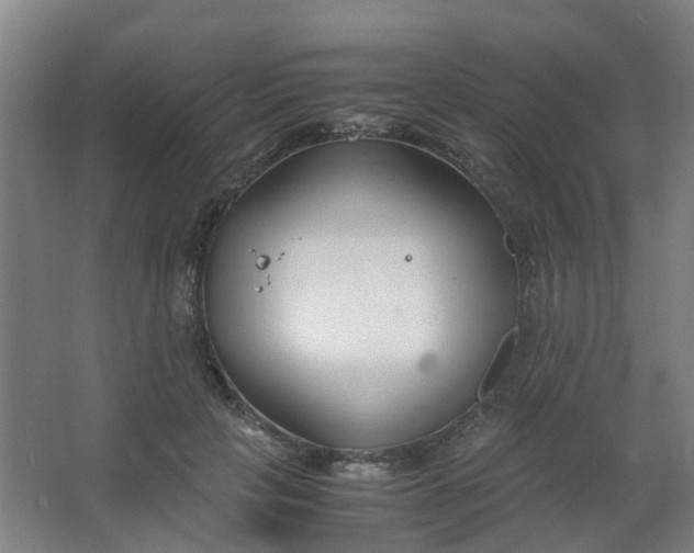 X0000063520649200602032111