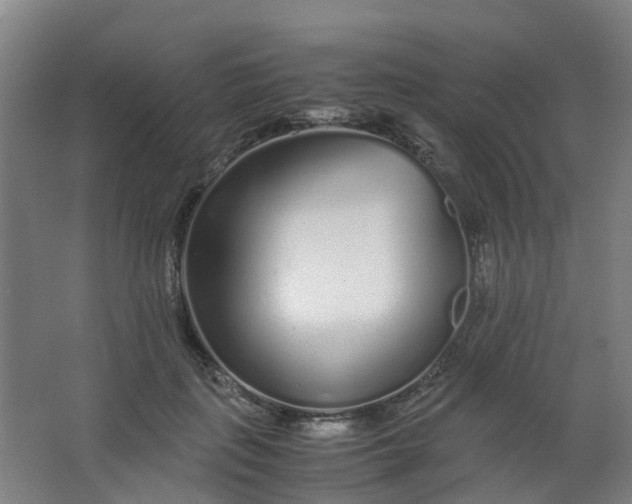 X0000063520651200602032111