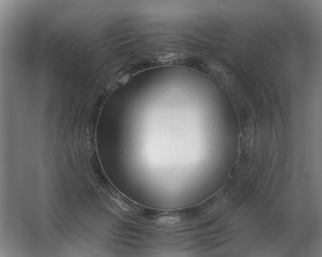 X0000063520653200602032111