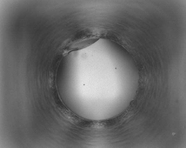 X0000063520656200602032111