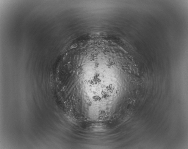 X0000063520659200602032111