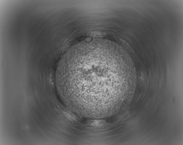 X0000063520663200602032111