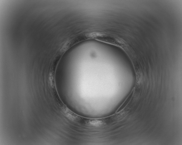 X0000063520669200602032111