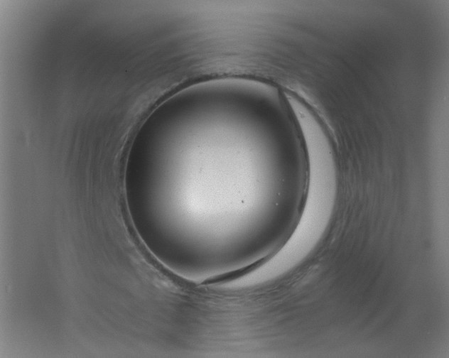 X0000063520673200602032111