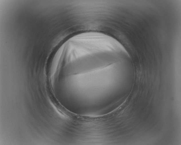 X0000063520674200602032111