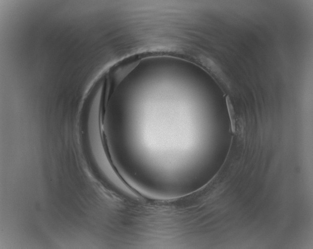 X0000063520676200602032110