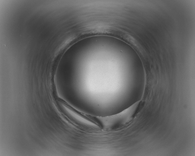 X0000063520677200602032110