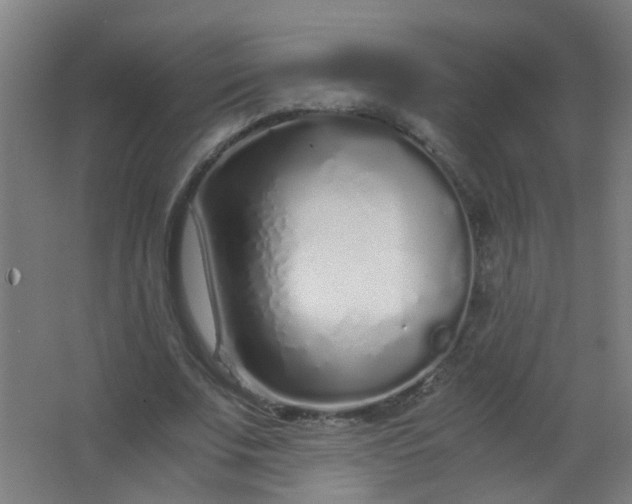 X0000063520679200602032110