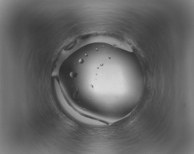 X0000063520681200602032110