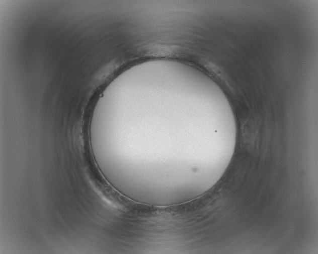 X0000063520682200602032110