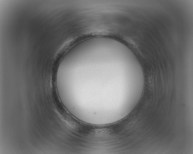 X0000063520686200602032110