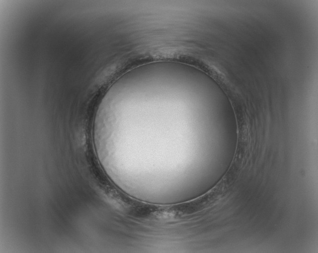 X0000063520687200602032110