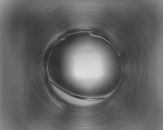 X0000063520688200602032110