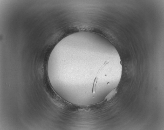 X0000063520690200602032110