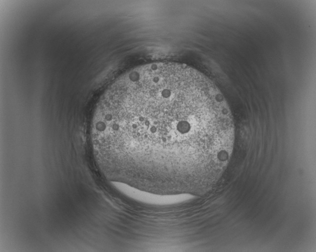 X0000063520691200602032110