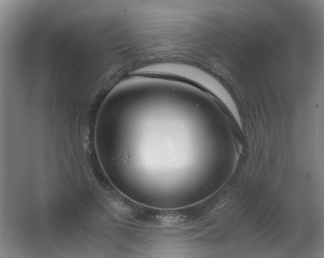 X0000063520693200602032110