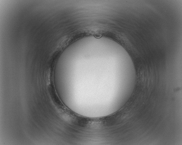 X0000063520694200602032110