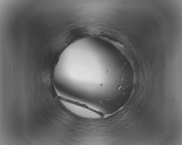 X0000063520697200602032110