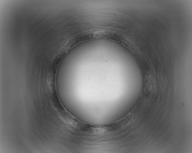 X0000063520698200602032110