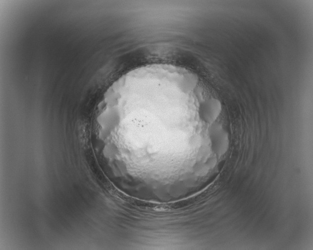 X0000063520699200602032110