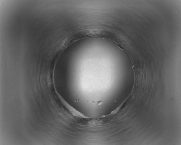 X0000063520700200602032110