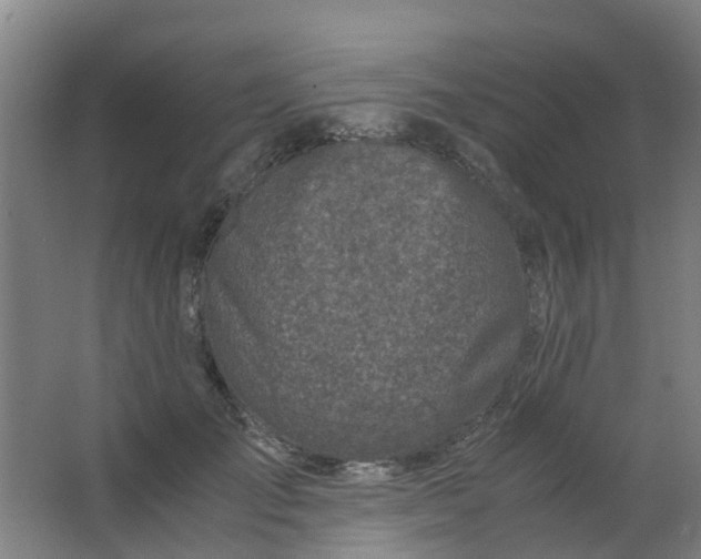 X0000063520701200602032110