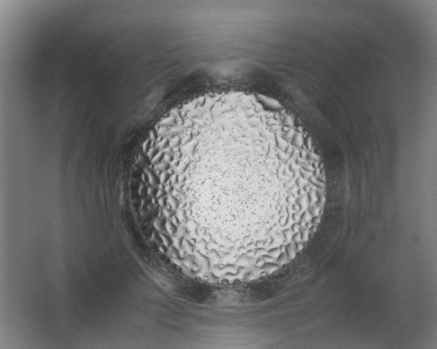 X0000063520703200602032110