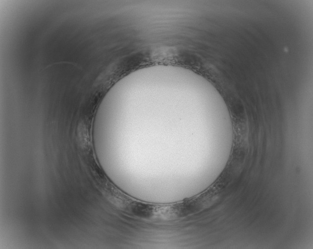 X0000063520705200602032110