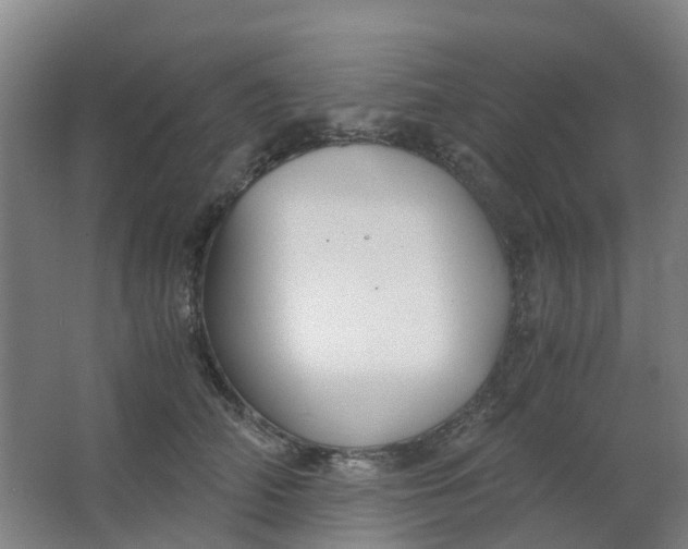 X0000063520706200602032110