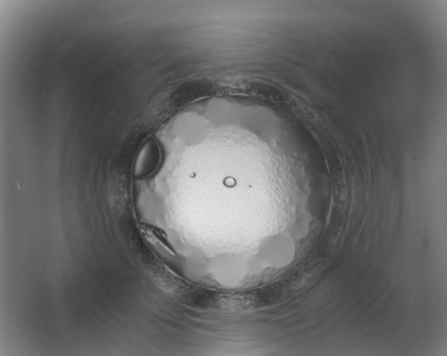 X0000063520707200602032110