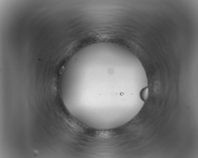 X0000063520710200602032110