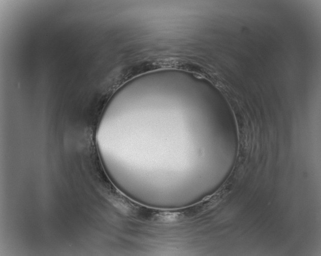 X0000063520711200602032110