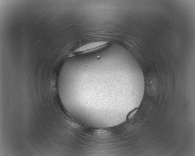 X0000063520714200602032110