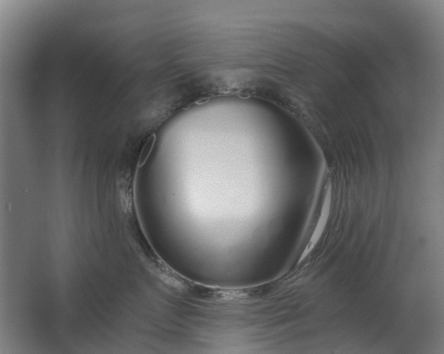 X0000063520719200602032110