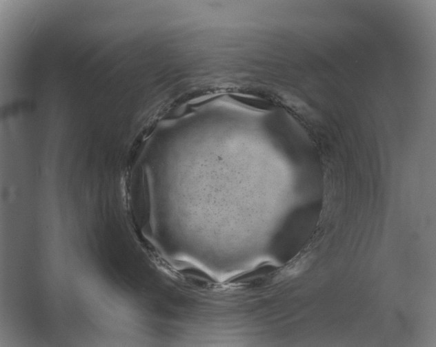 X0000063520720200602032110