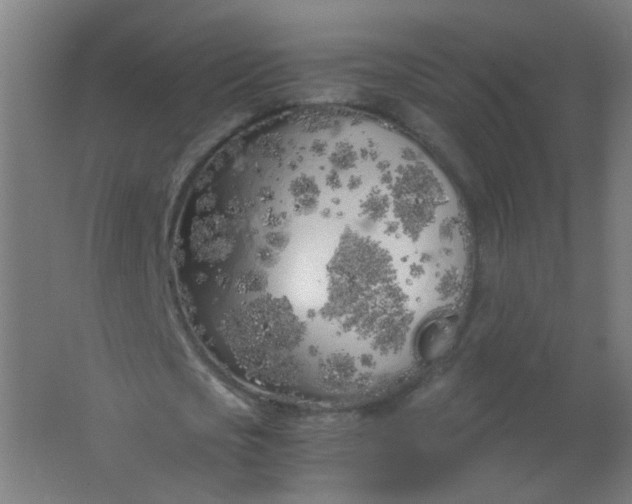 X0000063520721200602032109