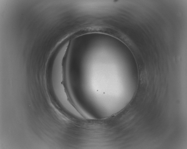 X0000063520722200602032109