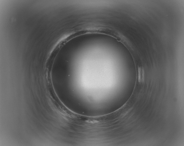 X0000063520723200602032109