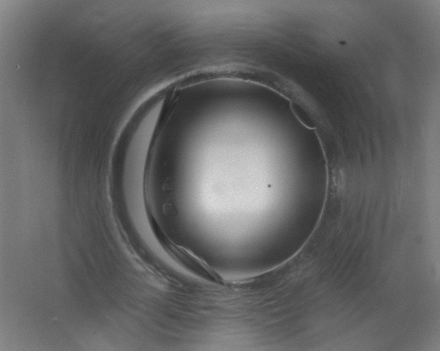 X0000063520724200602032109