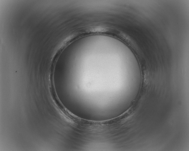 X0000063520725200602032109