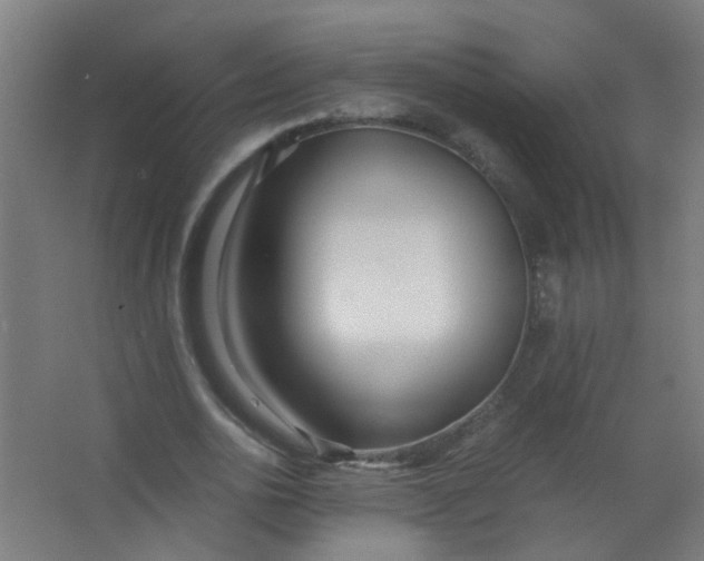 X0000063520726200602032109