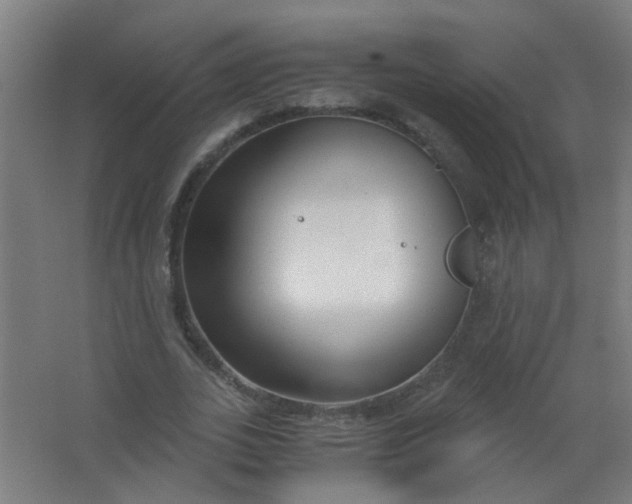 X0000063520727200602032109