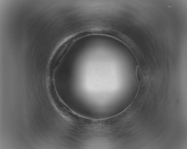 X0000063520728200602032109