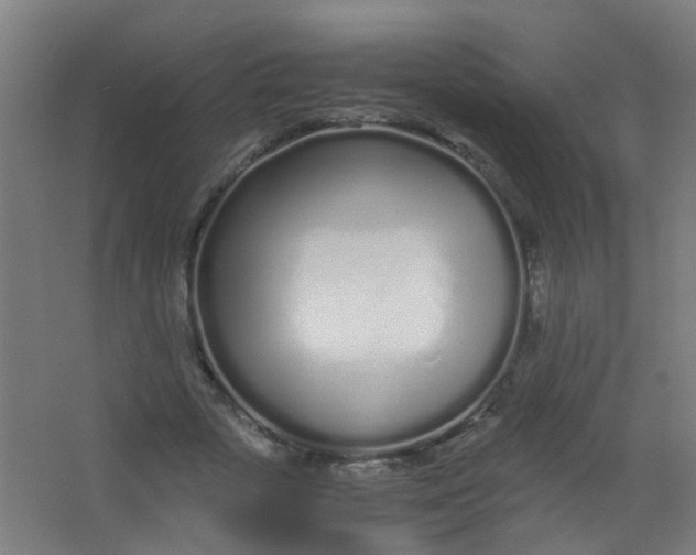 X0000063520729200602032109